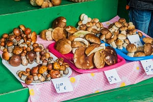 riga central market mushroom stall